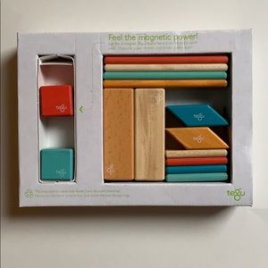 Tegu Magnetic Block Set